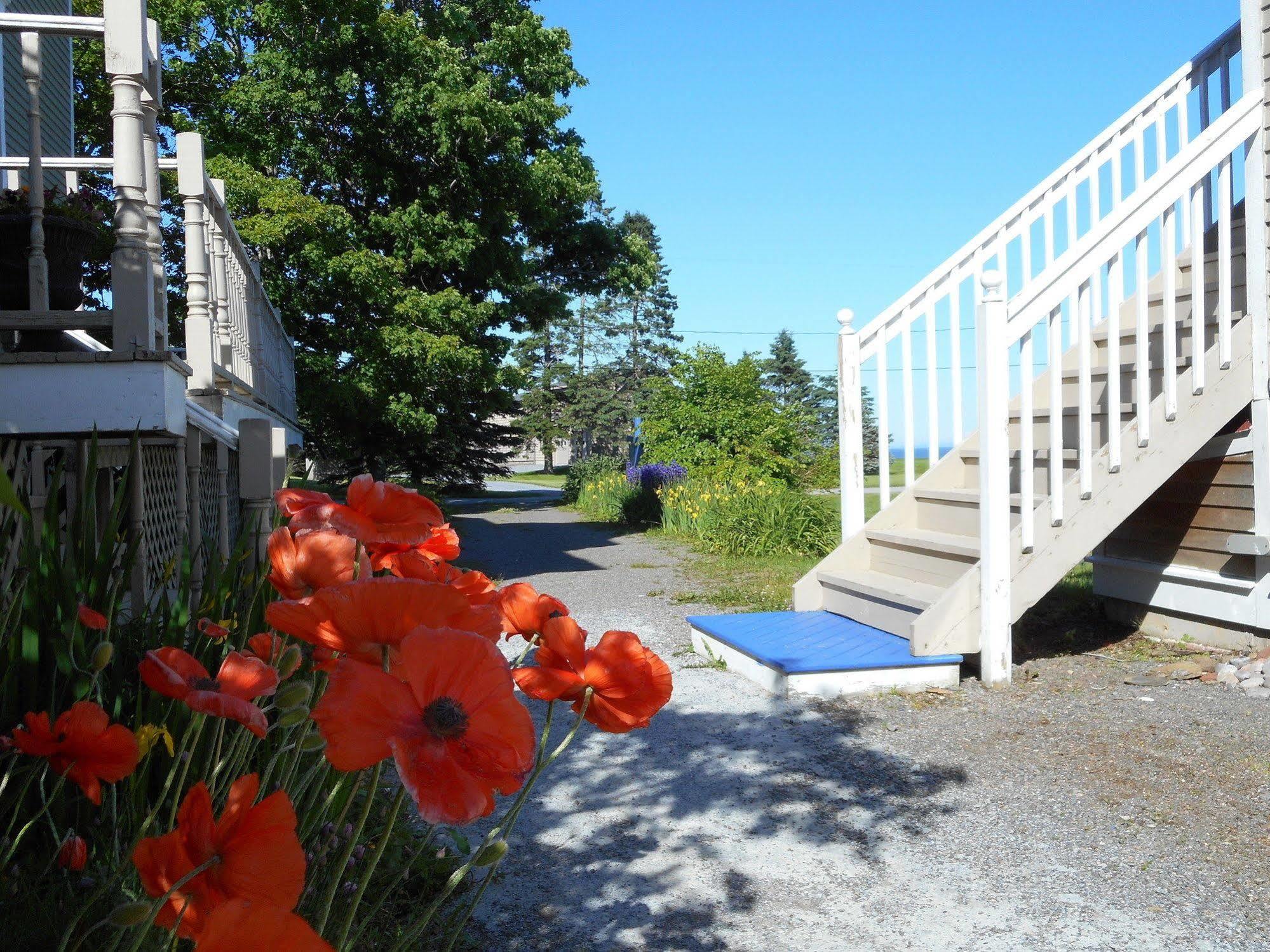 Tidal Watch Inn Saint Martins エクステリア 写真